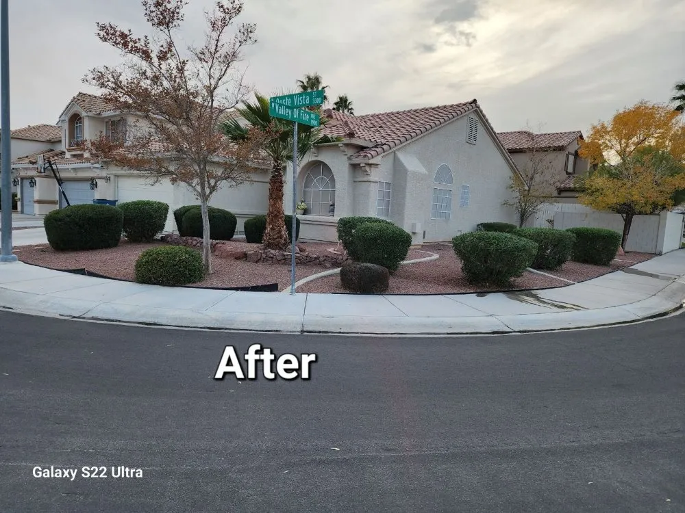 Top-rated lawn care service for homes across Las Vegas, NV - Desert Rock Landscape Maintenance