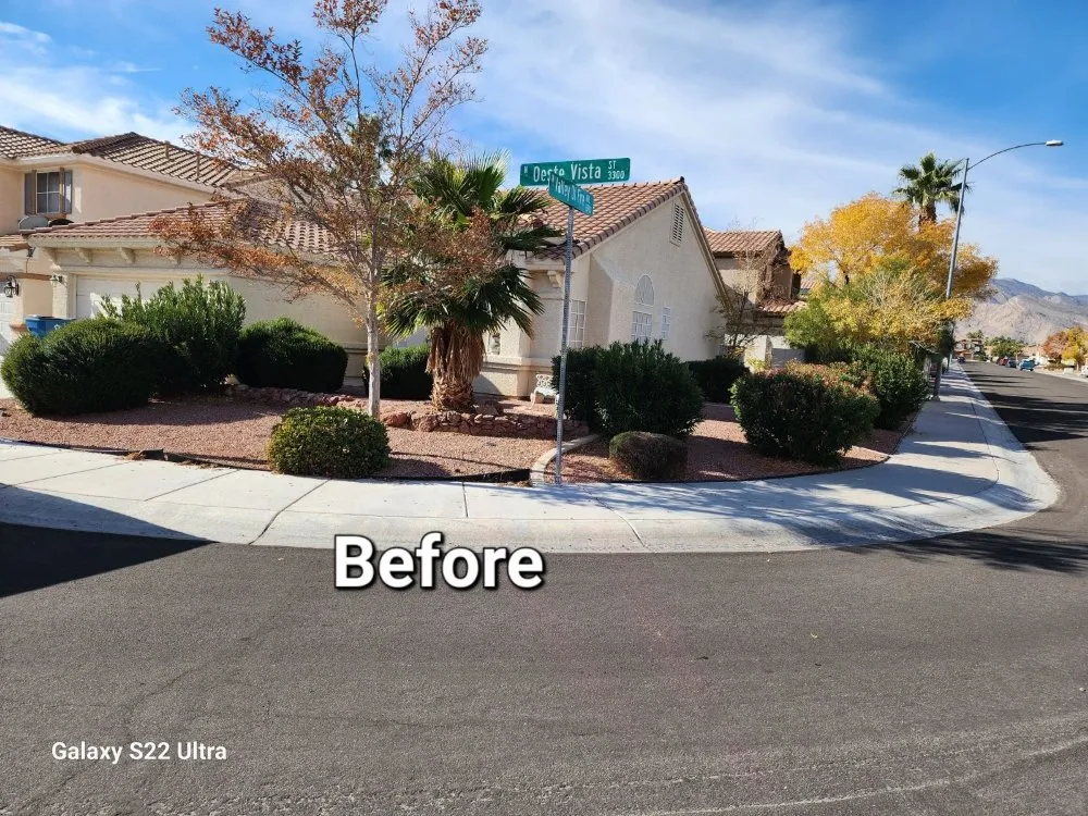 Top-rated lawn care service for beautiful yards across Las Vegas, NV - Desert Rock Landscape Maintenance