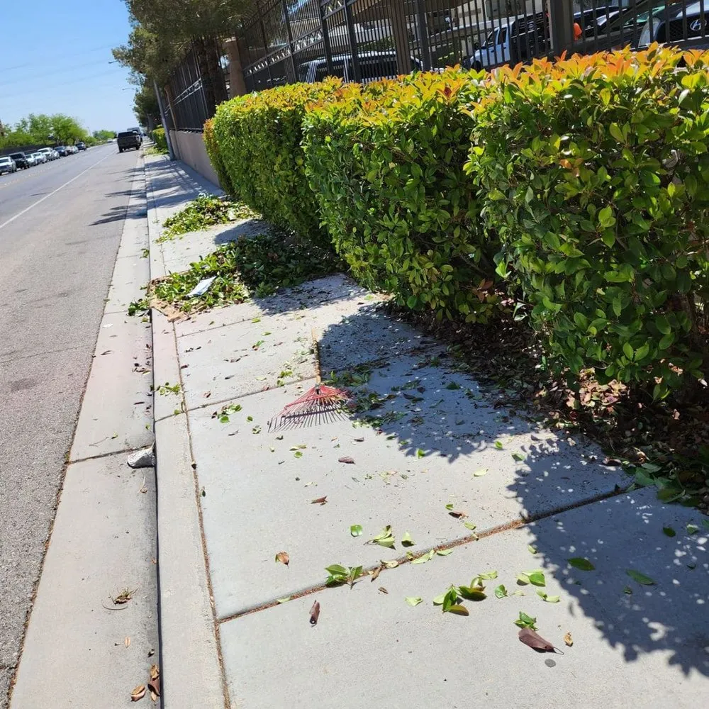 Expert garden landscaping in Las Vegas, NV by Desert Rock Landscape Maintenance