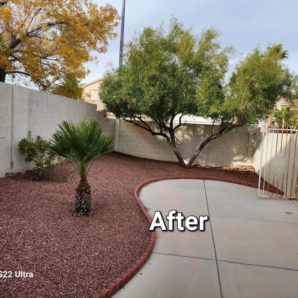 Local lawn care service in Las Vegas, NV - Desert Rock Landscape Maintenance