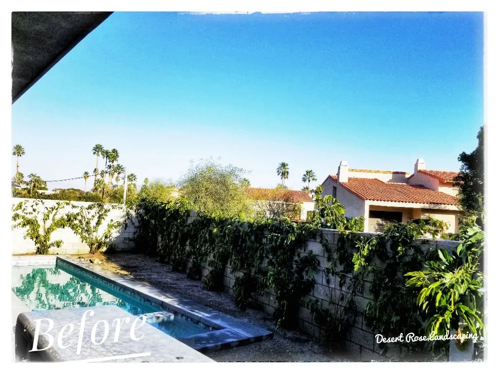 Affordable landscaping services experts serving Cathedral City, CA - Desert Rose Landscaping