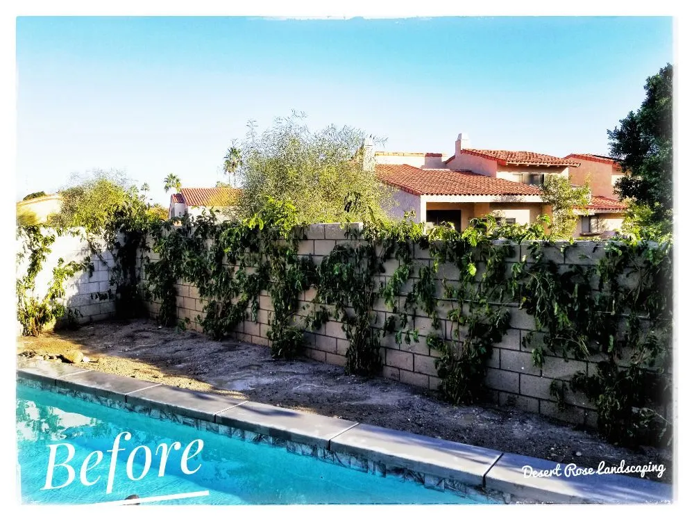 Custom landscaping services in Cathedral City, CA by Desert Rose Landscaping