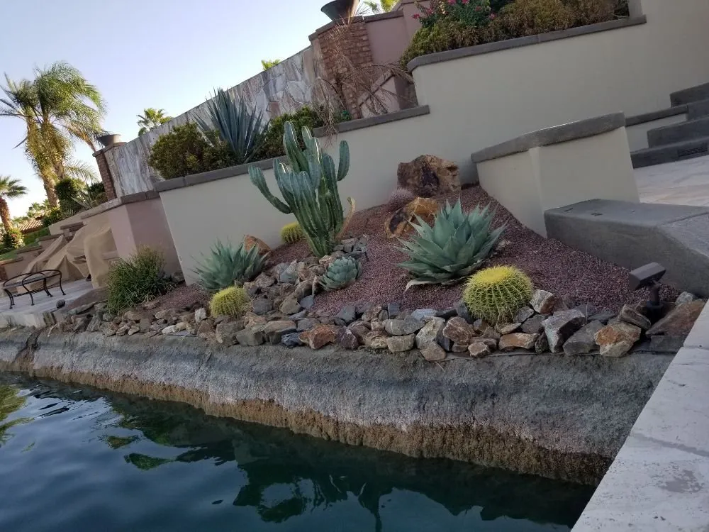 Affordable yard cleanup service for outdoor upgrades in Cathedral City, CA by Desert Rose Landscaping