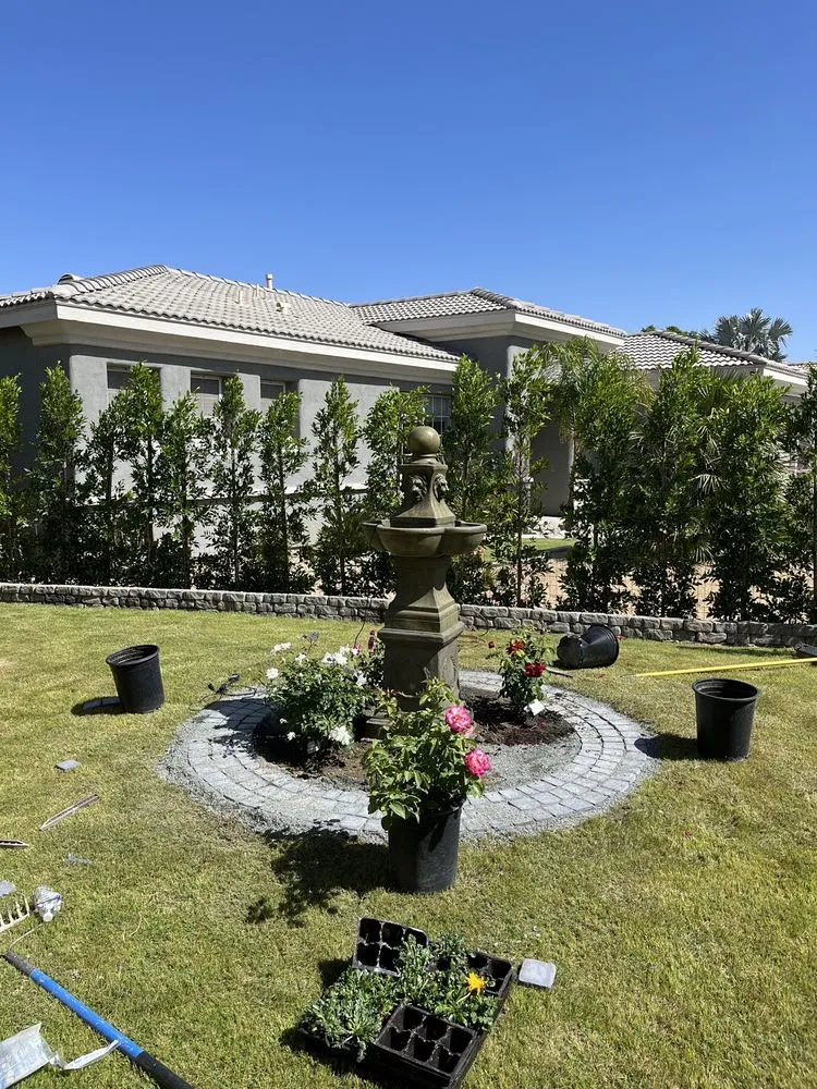 Local yard cleanup service experts serving Cathedral City, CA - Desert Rose Landscaping