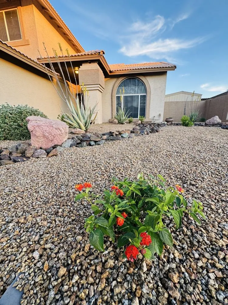 Trusted landscaping services experts serving Glendale, AZ - Desert Rose Landscaping