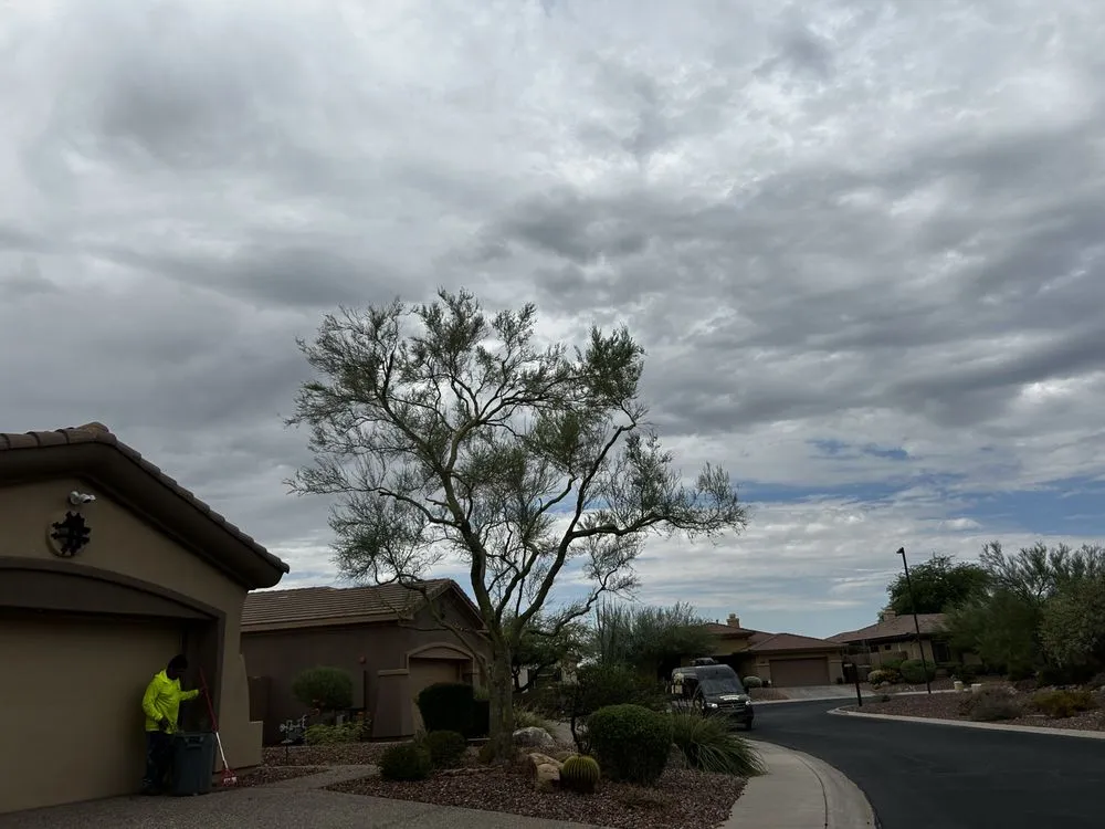 Expert landscape installation for year-round maintenance in Phoenix, AZ by Desert Sage Landscaping