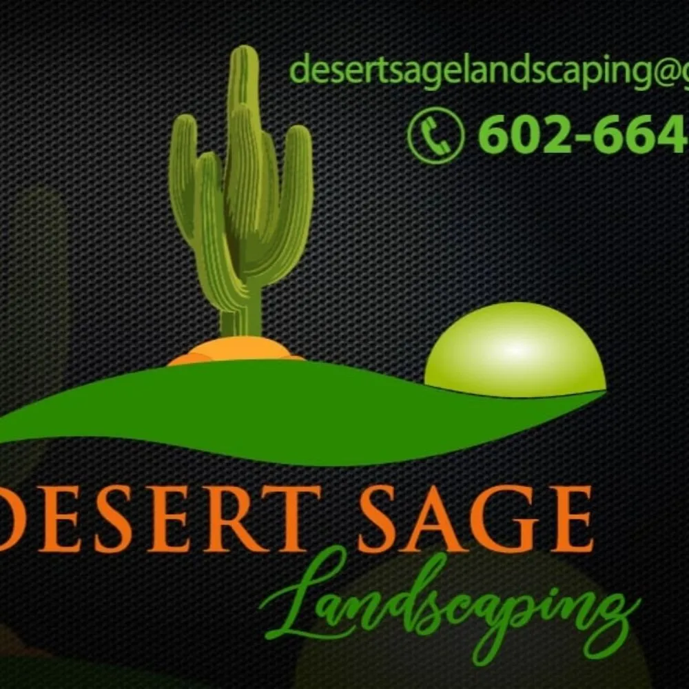 Reliable yard cleanup service in Phoenix, AZ - Desert Sage Landscaping