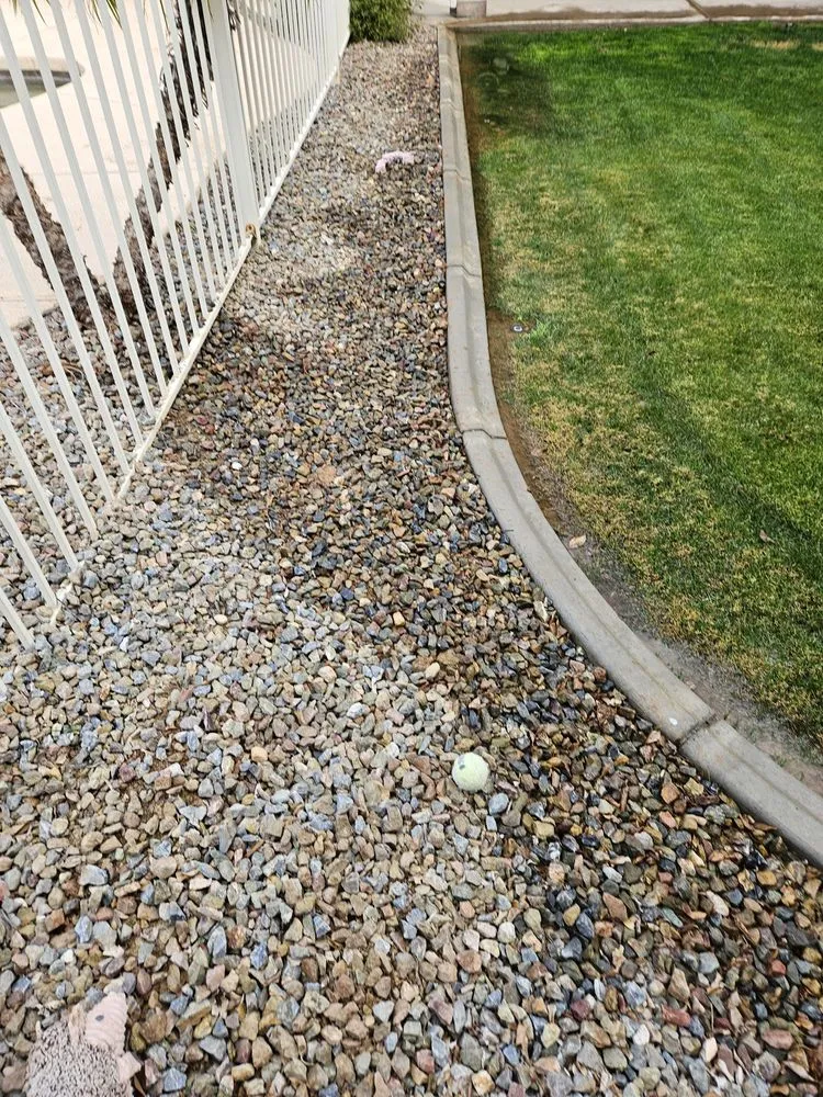 Local landscape design for homes across Phoenix, AZ - Desert Sage Landscaping