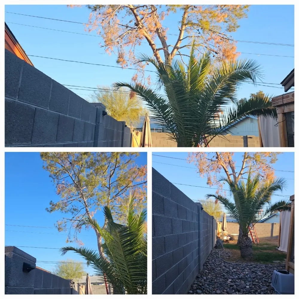 Trusted landscape installation in Phoenix, AZ - Desert Sage Landscaping