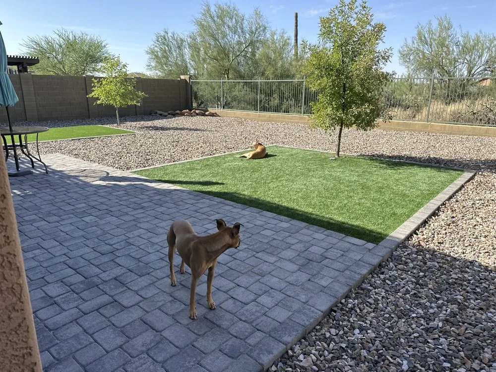 Custom yard maintenance for outdoor upgrades across Phoenix, AZ - Desert Sage Landscaping