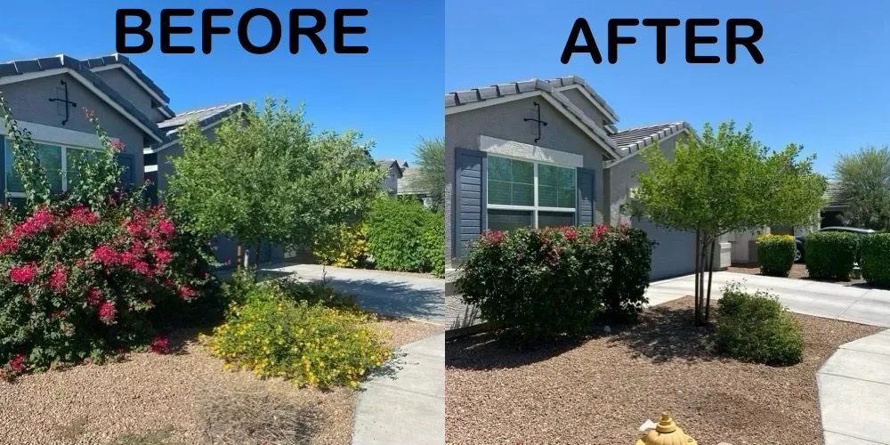 Local landscape installation for beautiful yards in Avondale, AZ by Desert Scape Solutions