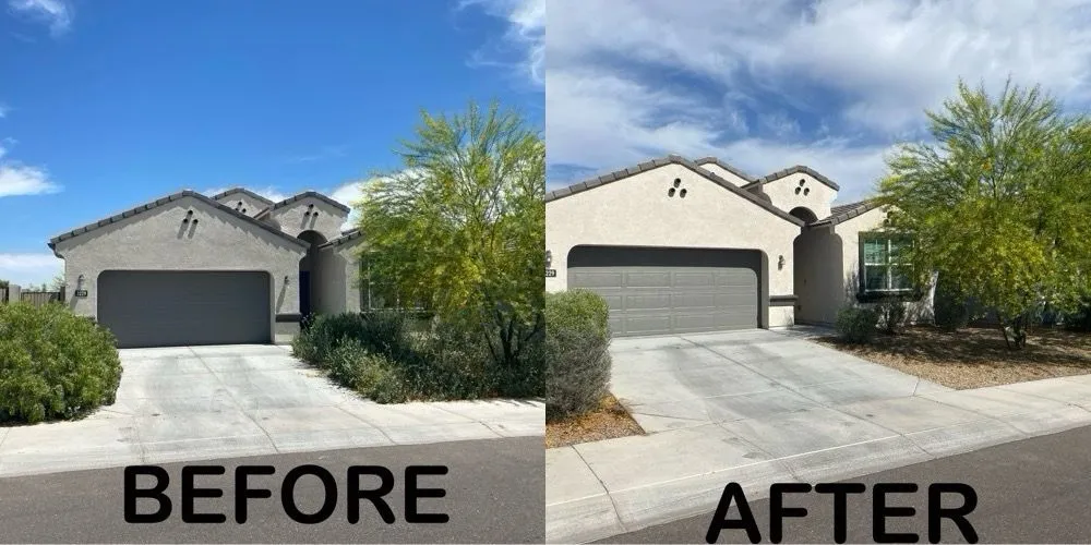 Expert yard maintenance for homes across Avondale, AZ - Desert Scape Solutions