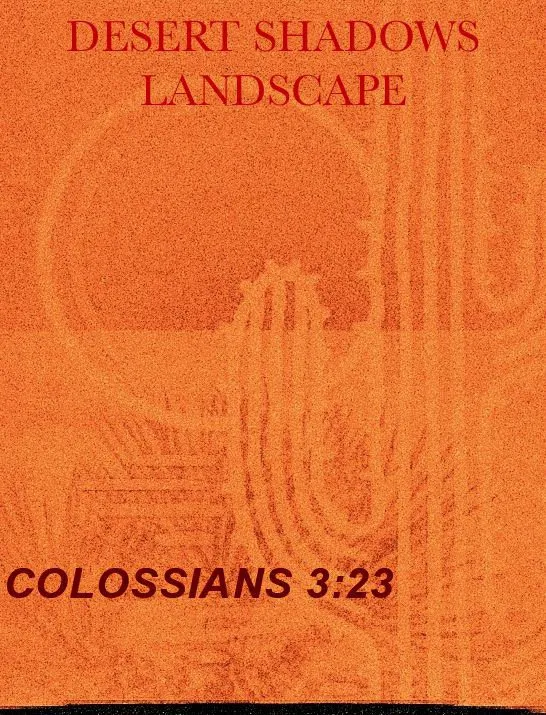 Expert landscape design for outdoor upgrades in Tucson, AZ by Desert Shadows Landscape