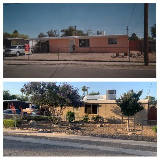 Professional landscaping services for year-round maintenance across Tucson, AZ - Desert Shadows Landscape