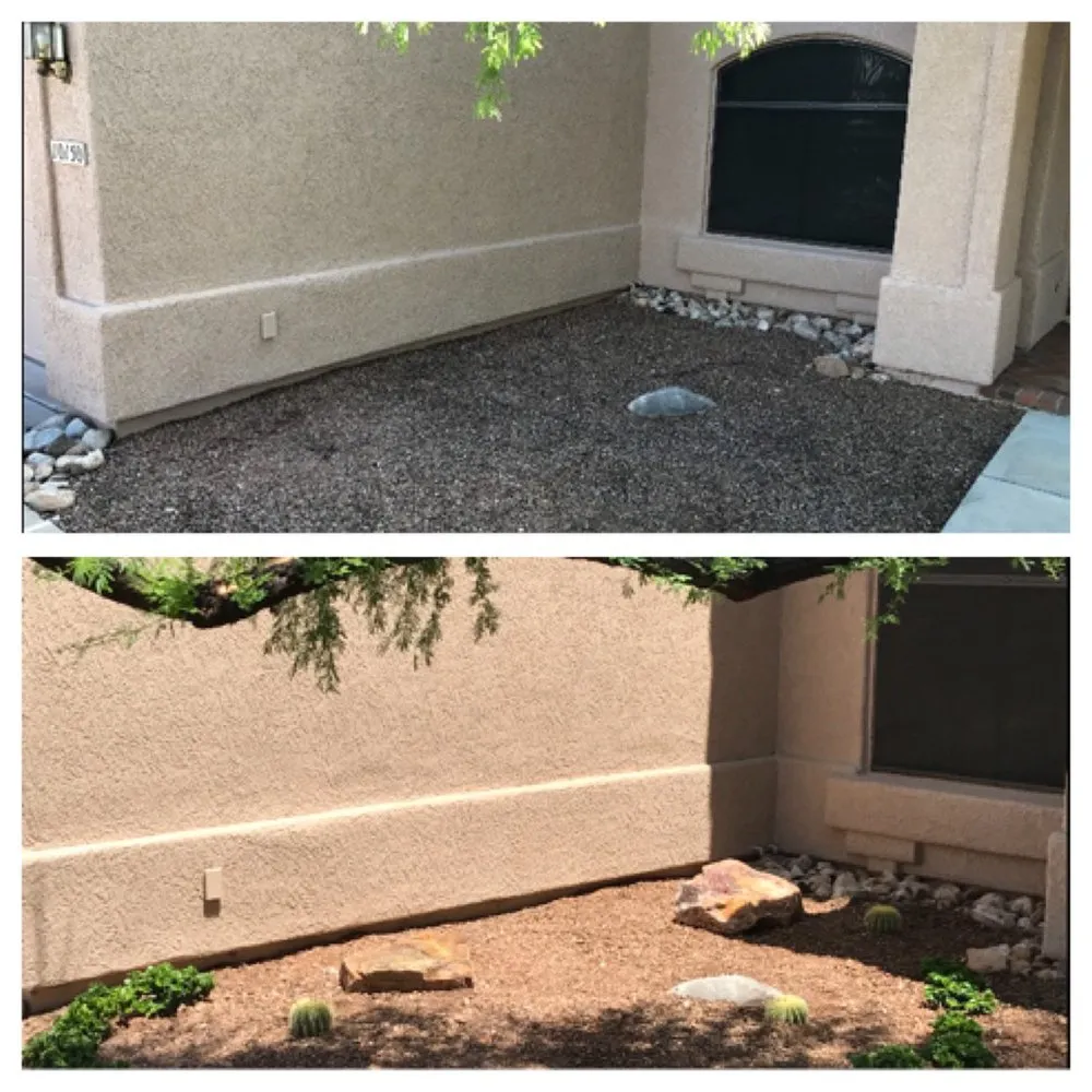 Expert residential landscaping experts serving Tucson, AZ - Desert Shadows Landscape