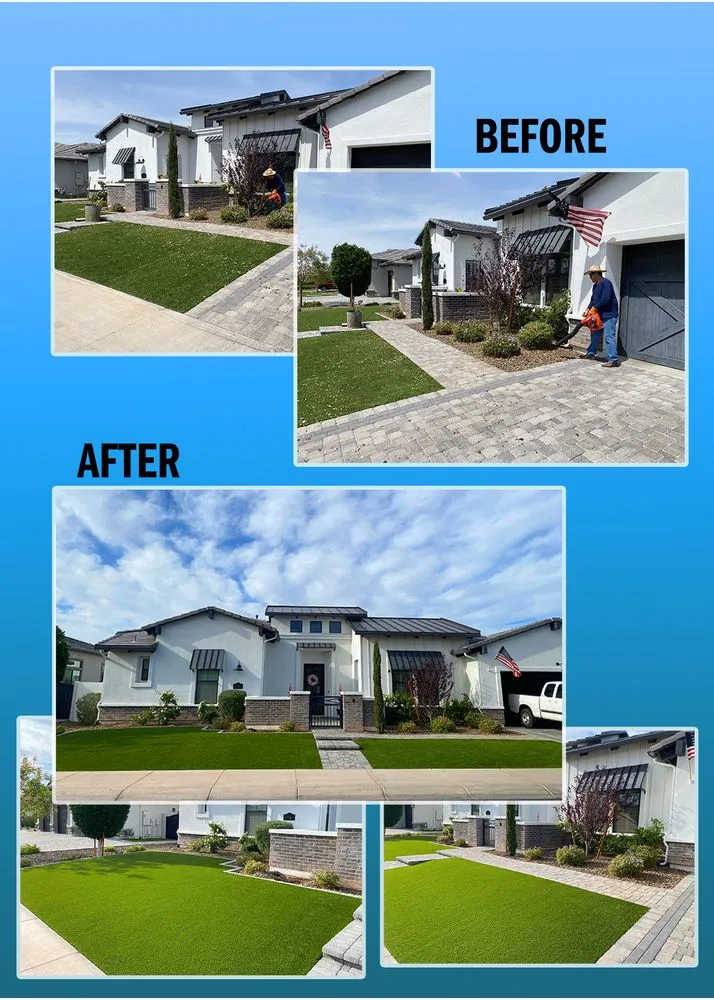 Local landscape design for beautiful yards in Chandler, AZ by Desert Shine