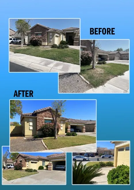 Affordable landscape design in Chandler, AZ by Desert Shine