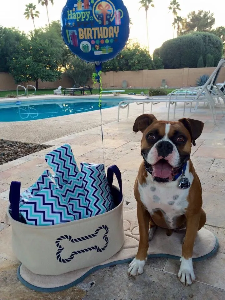 Local lawn care service near you in Scottsdale, AZ by Desert Showcase Landscaping