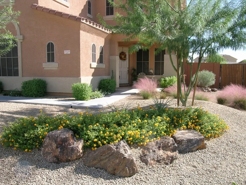 Affordable lawn mowing service in Scottsdale, AZ - Desert Showcase Landscaping