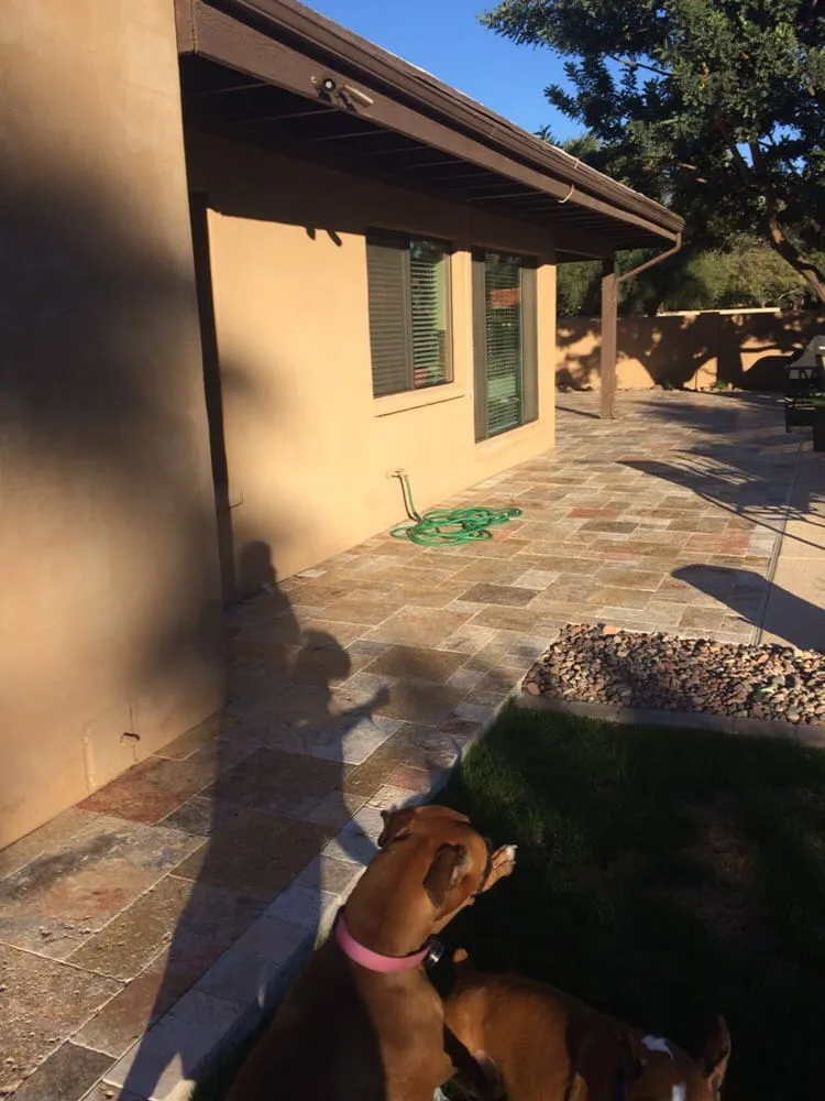 Local lawn care service in Scottsdale, AZ - Desert Showcase Landscaping