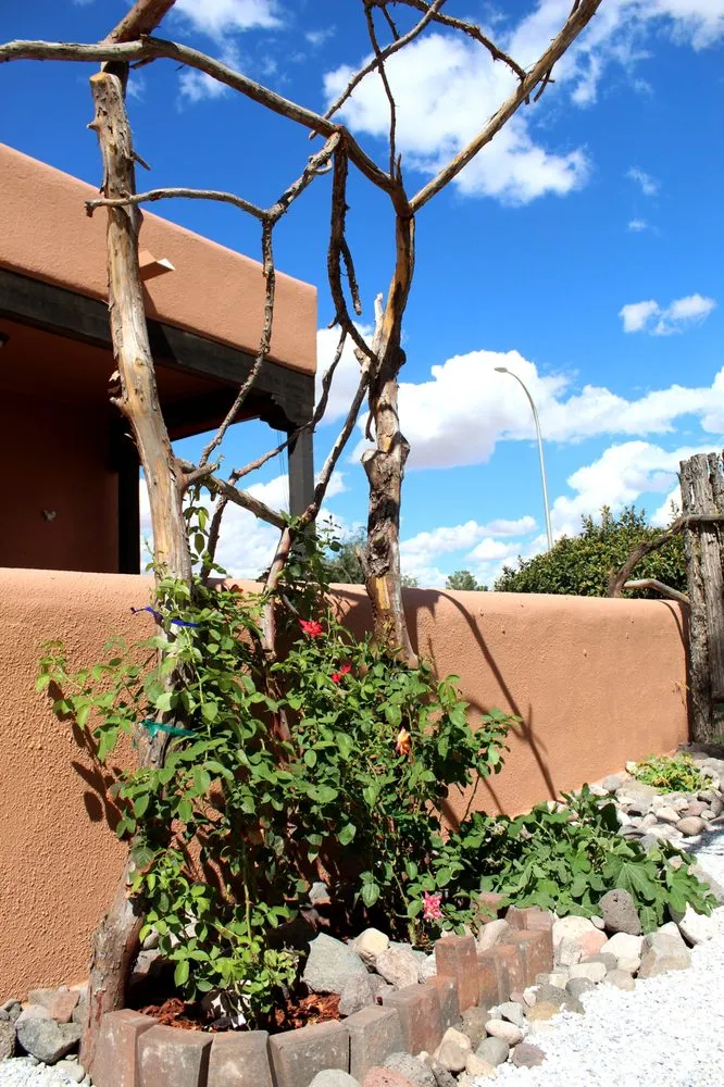 Local yard cleanup service in Las Cruces, NM by Desert Siren Landscape Design