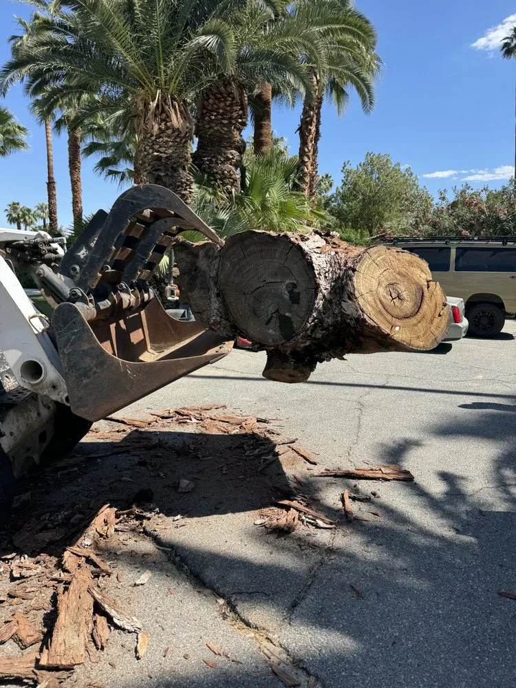 Professional landscaping services in Thousand Palms, CA - Desert Springs Landscape Gardening & Design