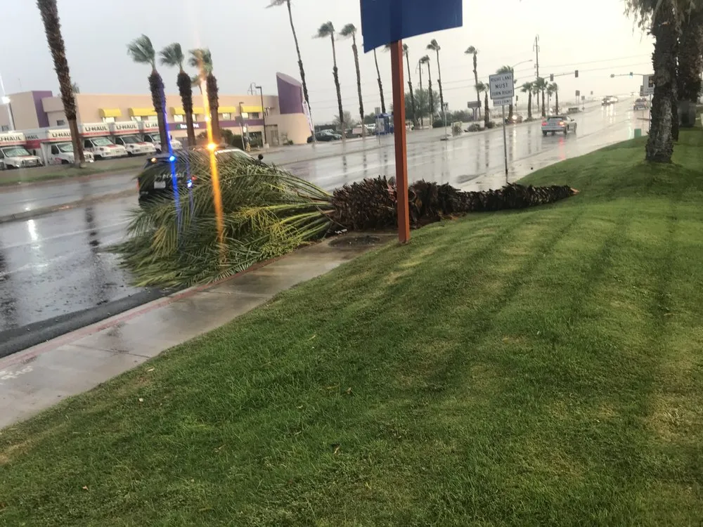 Affordable landscape installation for residential properties across Thousand Palms, CA - Desert Springs Landscape Gardening & Design