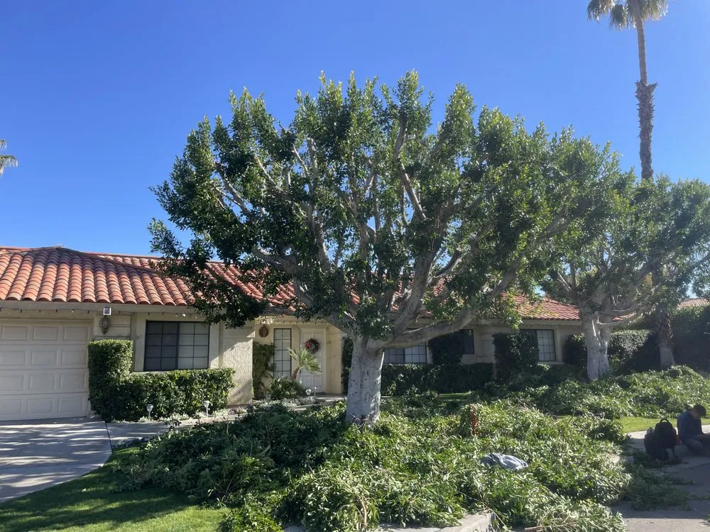 Professional lawn mowing service in Thousand Palms, CA - Desert Springs Landscape Gardening & Design