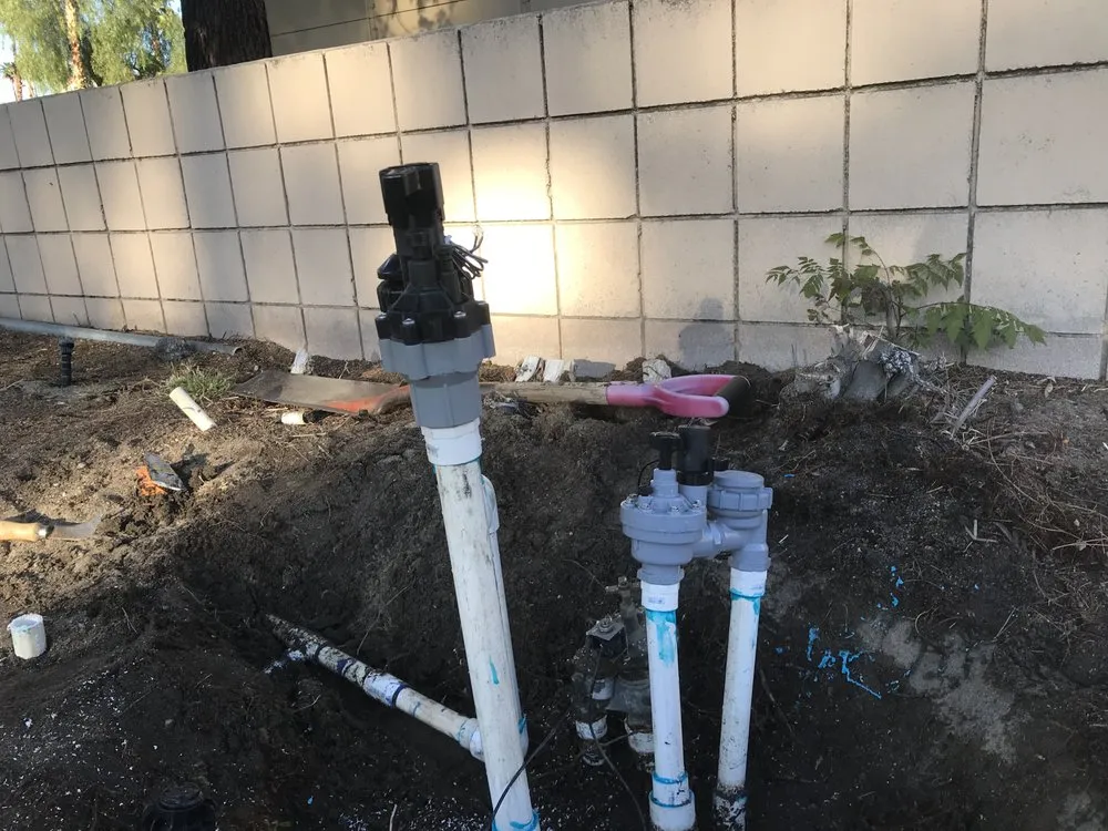 Custom landscape installation for year-round maintenance in Thousand Palms, CA by Desert Springs Landscape Gardening & Design