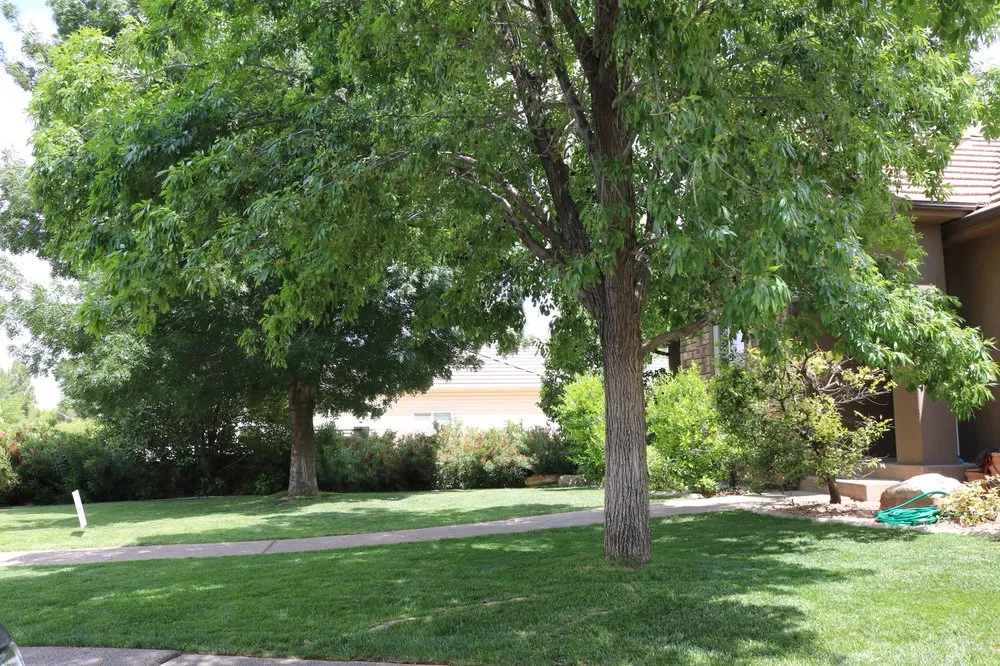 Custom outdoor landscaping experts serving St. George, UT - Desert Star Landscaping