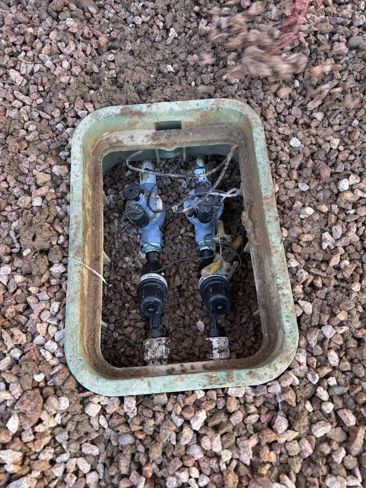 Reliable lawn mowing service experts serving Phoenix, AZ - Desert Stone Landscape & Design