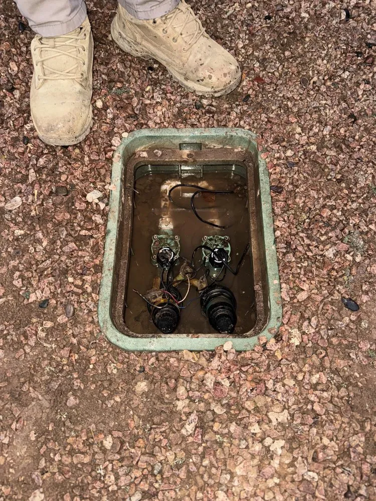 Reliable yard cleanup service for beautiful yards across Phoenix, AZ - Desert Stone Landscape & Design