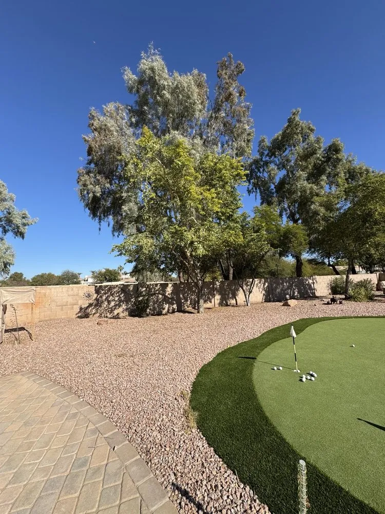 Reliable landscape installation for homes across Phoenix, AZ - Desert Stone Landscape & Design