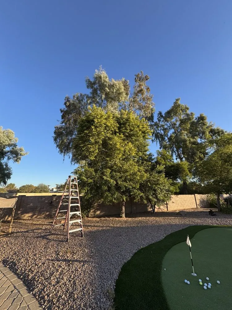 Trusted landscape design experts serving Phoenix, AZ - Desert Stone Landscape & Design