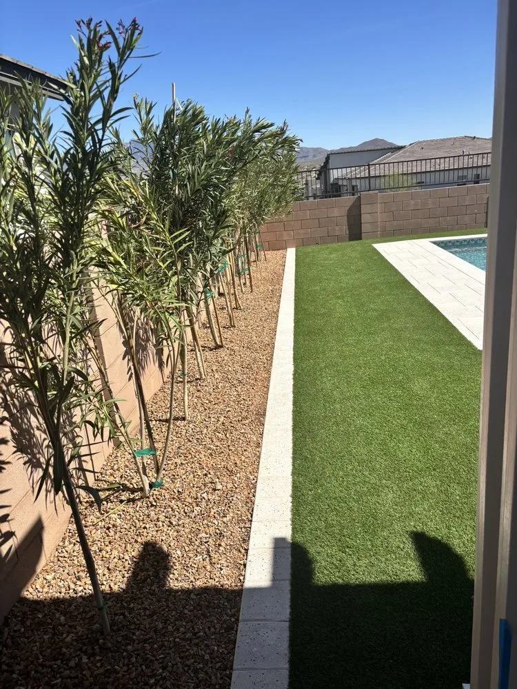 Top-rated yard cleanup service near you across Tucson, AZ - Desert Stone Landscape