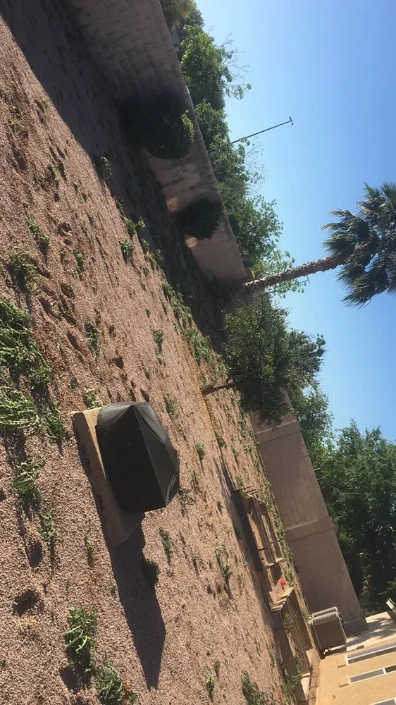 Top-rated residential landscaping experts serving Tempe, AZ - Desert Storm Solutions