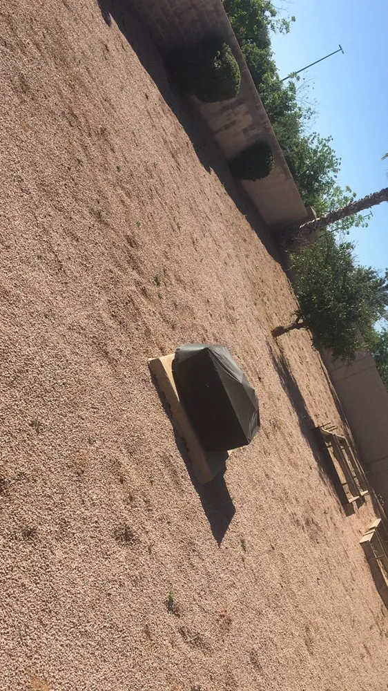 Local lawn care service in Tempe, AZ - Desert Storm Solutions