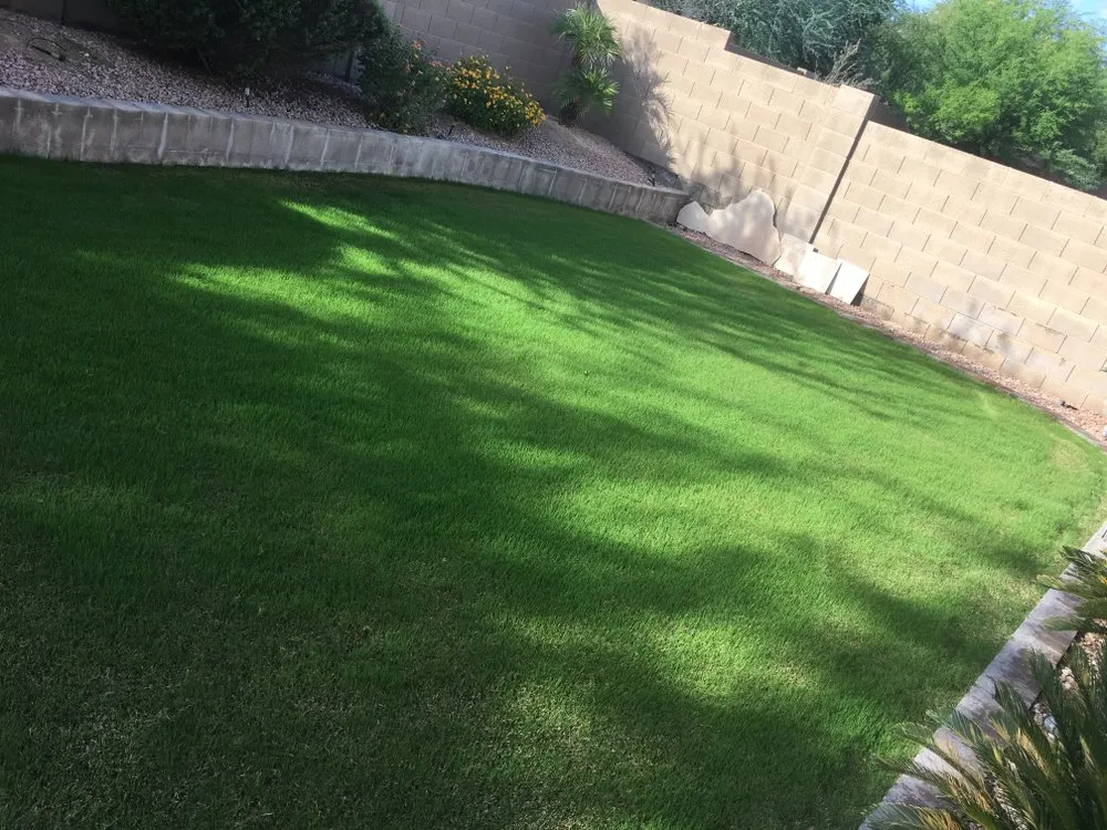 Trusted outdoor landscaping in Tempe, AZ - Desert Storm Solutions