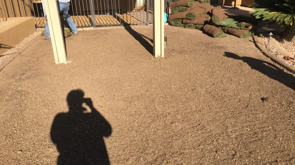 Custom yard maintenance experts serving Tempe, AZ - Desert Storm Solutions