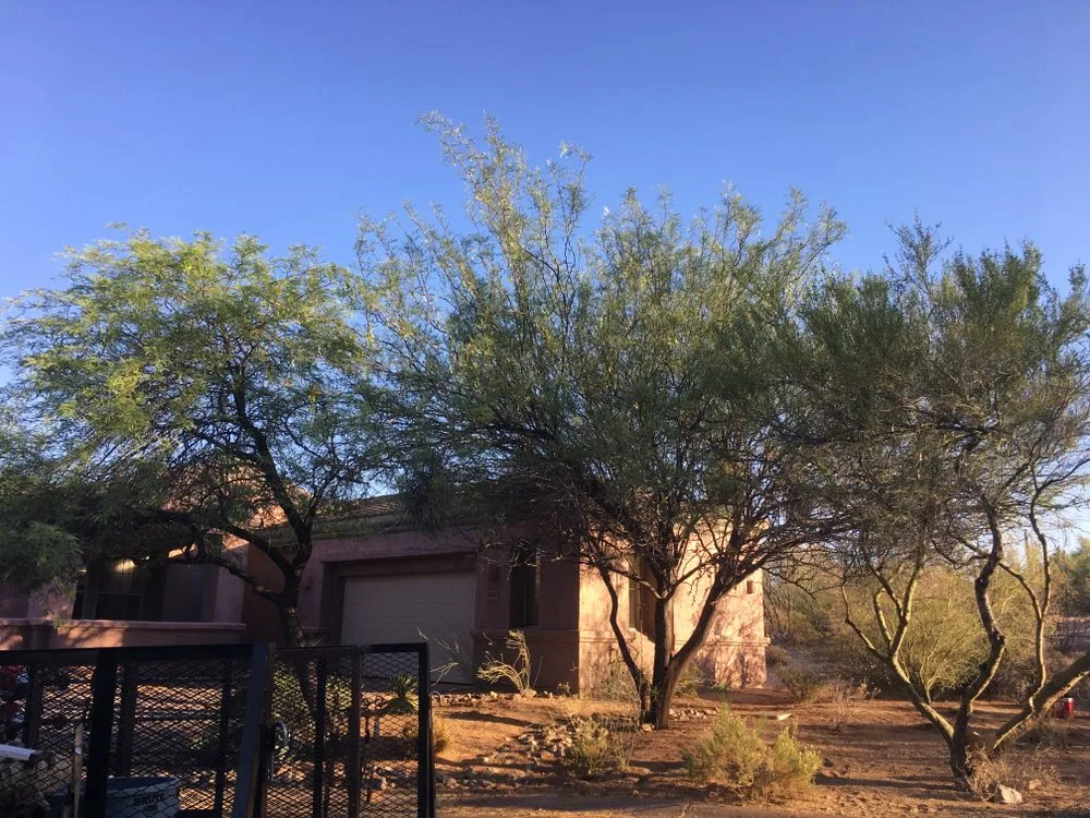 Reliable landscape installation for homes across Tempe, AZ - Desert Storm Solutions