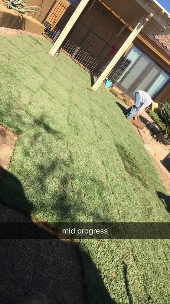 Expert landscaping services for outdoor upgrades in Tempe, AZ by Desert Storm Solutions