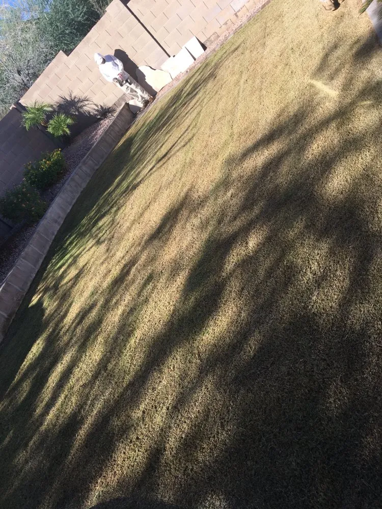 Top-rated residential landscaping for homes across Tempe, AZ - Desert Storm Solutions