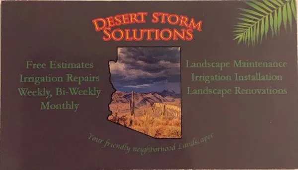 Desert Storm Solutions Logo