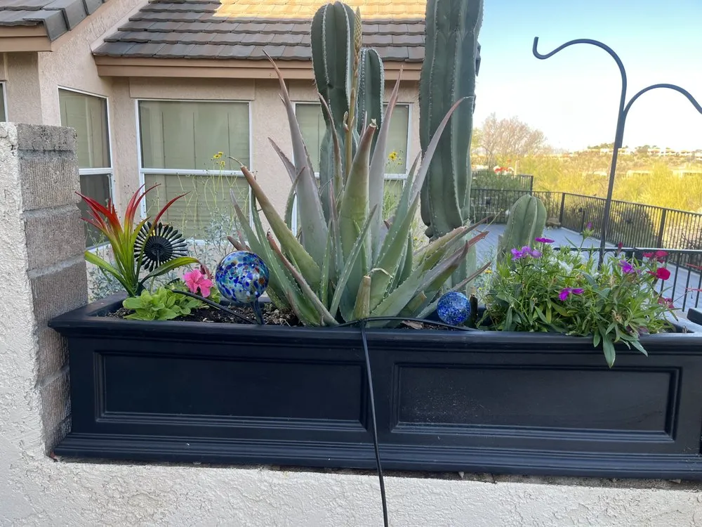 Professional lawn mowing service in Tucson, AZ - Desert sun landscaping