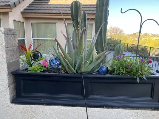 Desert sun landscaping Logo