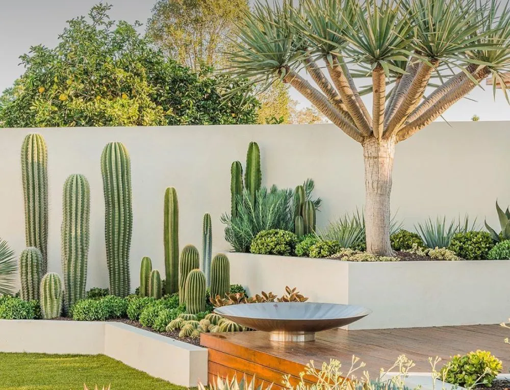 Custom garden landscaping in St. George, UT - Desert Tortoise Landscspes