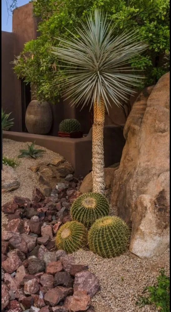 Custom lawn mowing service experts serving St. George, UT - Desert Tortoise Landscspes