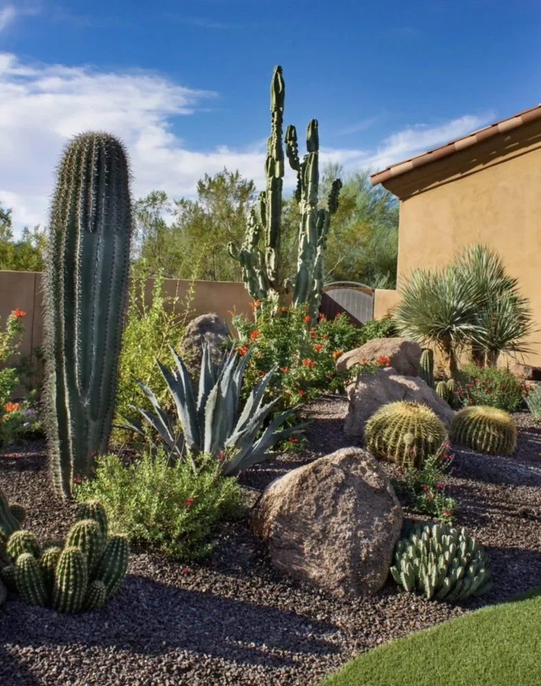 Expert landscaping services for homes across St. George, UT - Desert Tortoise Landscspes