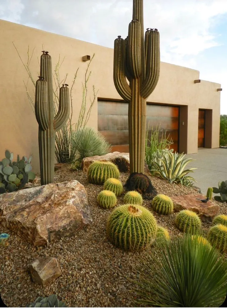 Expert landscape design in St. George, UT - Desert Tortoise Landscspes