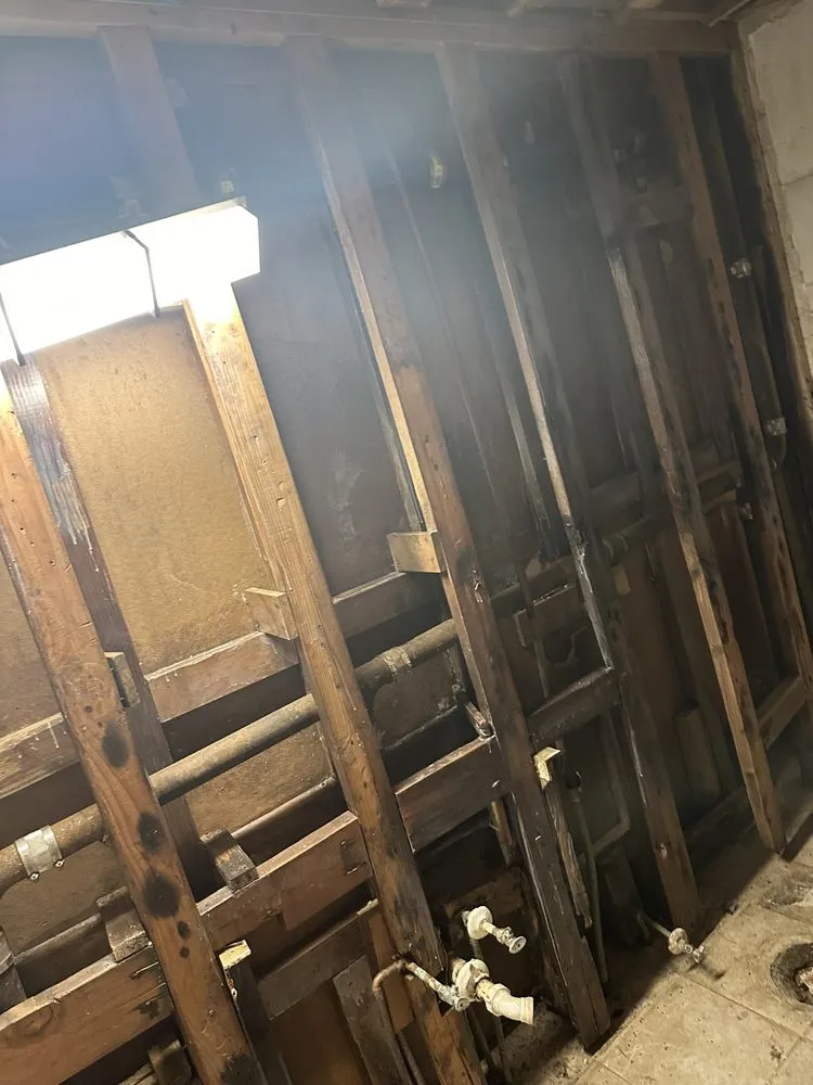 Reliable yard cleanup service experts serving Tucson, AZ - Desert Trim landscaping Handyman